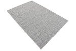 Light Gray/Ivory Flatweave Indoor/Outdoor Area Rug