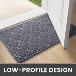Large Non-Slip Indoor Outdoor Welcome Mat 24x36