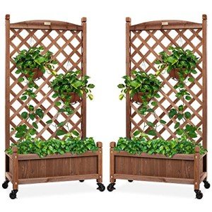 Wood Planter Box Set with Diamond Lattice Trellis