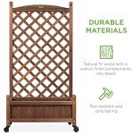 Wood Planter Box Set with Diamond Lattice Trellis