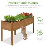 Elevated Wooden Garden Bed with Divider Panel