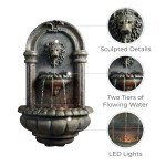 Wall-Mounted Lion Head LED Outdoor Water Fountain