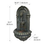 Wall-Mounted Lion Head LED Outdoor Water Fountain