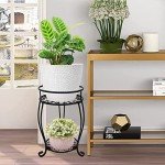 Stylish 2-Tier Metal Plant Stand for Indoors Outdoors
