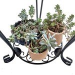 Stylish 2-Tier Metal Plant Stand for Indoors Outdoors