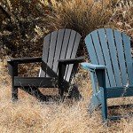 SERWALL Black Adirondack Chair for Outdoor Relaxation