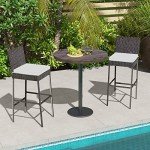 Outdoor Wicker Bar Stools Set of 2