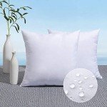 MIULEE 18x18 Outdoor Pillow Inserts - Pack of 2