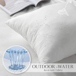 Waterproof 18x18 Outdoor Pillow Inserts - Set of 2