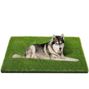 Large Dog Grass Mat for Easy Potty Training