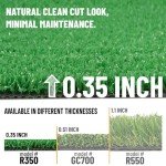 Indoor Outdoor Faux Grass Rug - 5'3" x 8'2
