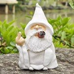 Naughty Smoking Wizard Garden Gnome Figurine