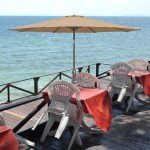 9FT Outdoor Patio Umbrella with Crank and Tilt