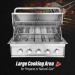 5-Burner Stainless Steel Built-In Gas Grill