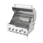 Spire 5-Burner Propane Grill with Rear Burner