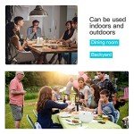 Bronze Metal Outdoor Dining Table with Wood Top