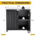 Outdoor Grill Cart with Storage & Stainless Steel Top