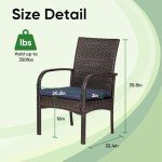 SAILARY Wicker Patio Dining Chairs Set of 2