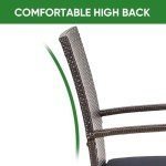 SAILARY Wicker Patio Dining Chairs Set of 2