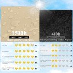 Outdoor Waterproof Chair Cushion Set of 4 - Khaki