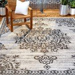 Nicole Miller Azalea Indoor/Outdoor Area Rug, Grey/Black