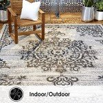 Nicole Miller Azalea Indoor/Outdoor Area Rug, Grey/Black