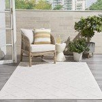 Ivory/White 6' x 9' Moroccan Area Rug