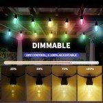 50FT Outdoor String Lights with Dimmable LED Bulbs
