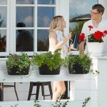 Stylish Set of 3 Hanging Outdoor Planters