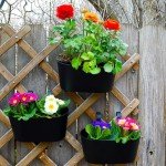 Stylish Set of 3 Hanging Outdoor Planters
