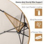 Cosiest 10FT Offset Patio Umbrella with Crank