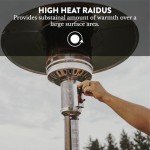 GasOne 50,000 BTU Outdoor Patio Heater