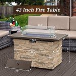 PIZZELLO 43" Rectangular Propane Fire Pit Table