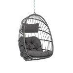 Yechen Foldable Wicker Egg Chair with Cushions