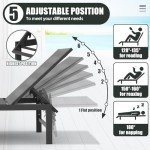 Aluminum Adjustable Chaise Lounge Chairs - Set of 2