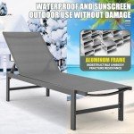Aluminum Adjustable Chaise Lounge Chairs - Set of 2