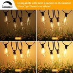 Brightever 100FT LED Vintage Edison Patio Lights