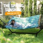 Double Outdoor Hammock with Stand and Pillow