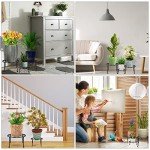 5-Pack Heavy Duty Metal Plant Stands - Black