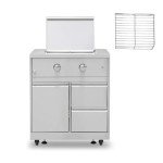 Stainless Steel 2-Burner Propane BBQ Grill