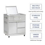 Stainless Steel 2-Burner Propane BBQ Grill