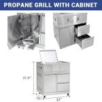 Stainless Steel 2-Burner Propane BBQ Grill