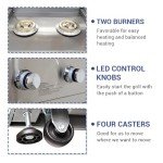 Stainless Steel 2-Burner Propane BBQ Grill