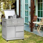 Stainless Steel 2-Burner Propane BBQ Grill