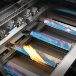 Napoleon 32-Inch Built-In Gas Grill Head