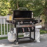 Blackstone 1962 Outdoor Griddle with Air Fryer Combo