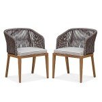 Purple Leaf 2-Piece All-Weather Patio Dining Chairs