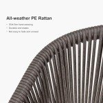 Purple Leaf 2-Piece All-Weather Patio Dining Chairs