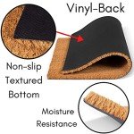 Funny "Let It Snow" Doormat for Entryway