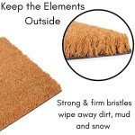 Funny "Let It Snow" Doormat for Entryway